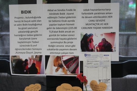 Ford Otosan’da Beyaz Pati sergisi - Resim: 12