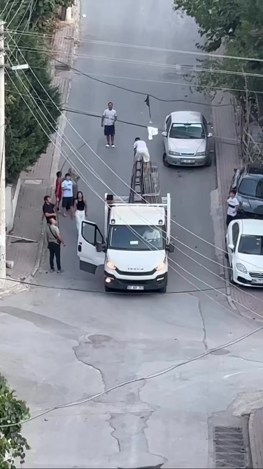 Kocaeli'de mahalleli güvercin için seferber oldu