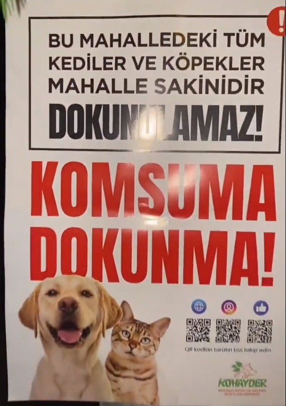 Hayvan severler Kocaeli sokaklarına bu afişi asıyor