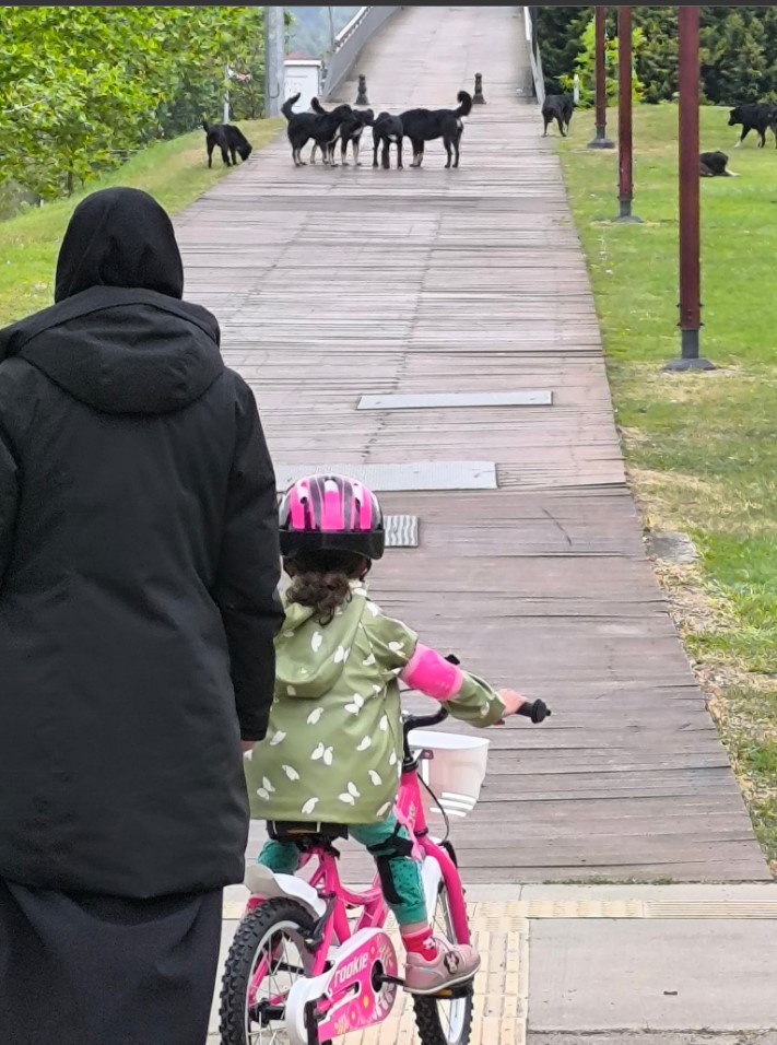 SEKA Park’ta köpeklerin sayısı artıyor!