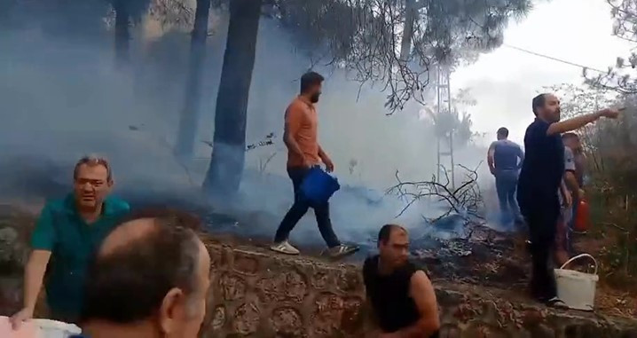 İzmit’te orman yangını!