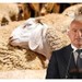 Kurban Bayramı tatili 10 gün mü olacak? Bakan'dan heyecanlandıran cevap