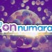27 Haziran On Numara sonuçları 2025-On Numara’da kazanan rakamlar