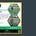 Kocaelispor futbol okullarından biri daha Alikahya’da!