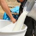 Çiğ süt fiyatında yağ ve protein içeriği için ek fiyatlama