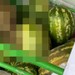 Derince’deki markette şok görüntü!