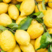 Kilosu 150 lirayı aşan limonda fiyat düşecek!