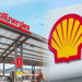 Shell ve Total'in lisansları iptal edildi