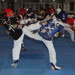Taekwondo şenliğinde minikler hünerlerini sergiledi