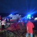 Kocaeli'de kestiği ağacın altında kalan kişi hayatını kaybetti!