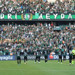 Yaralı Kocaelispor, yeniden ayağa kalkmak istiyor
