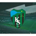 Kararlar açıklandı! PFDK’dan Kocaelispor’a ağır fatura