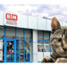 İzmit'teki BİM çalışanları kedi mi kaçırdı?