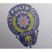 Polislerin promosyonu belli oldu!