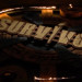 Survivor 2026 kadrosunda ikinci isim belli oldu!