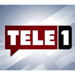 Tele1'e kayyum atandı