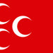 MHP Kocaeli'de flaş istifa!