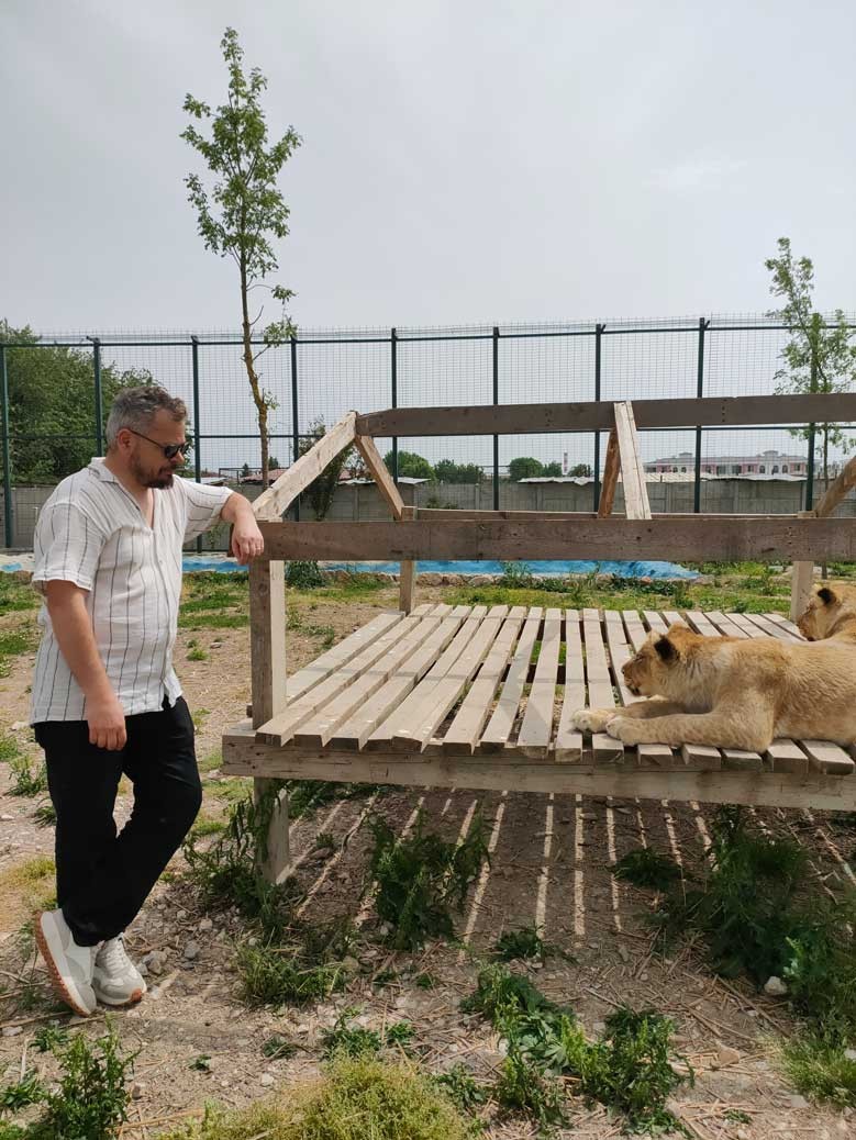 Kocaeli’nin yanı başında yeni bir hayvanat bahçesi: Dupha Zoo! Aslanlar ve yılanla fotoğraf çektirme imkanı
