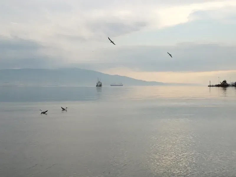 Eski ve yeni İzmit fotoğrafları! Bu fotoğraflar sizi tarihe götürecek - Resim: 89