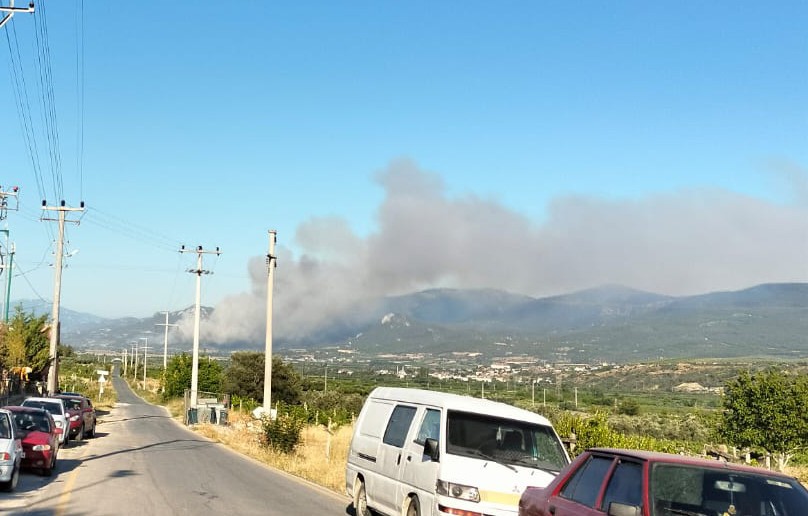 10 saniyede orman yangınını söndüren bombaya ne oldu?