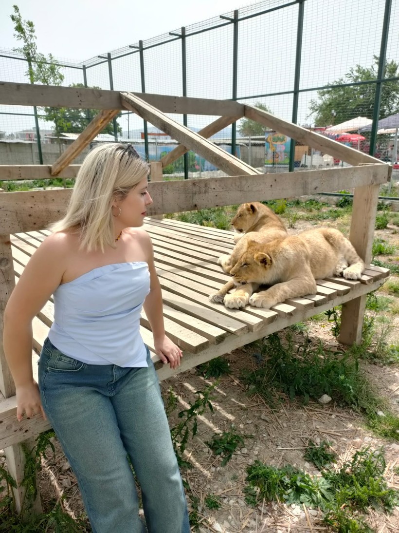Kocaeli’nin yanı başında yeni bir hayvanat bahçesi: Dupha Zoo! Aslanlar ve yılanla fotoğraf çektirme imkanı