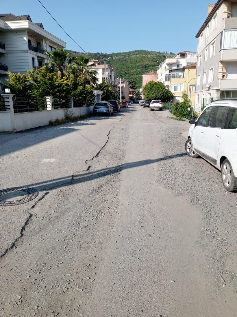 Ormanya yaza hazır