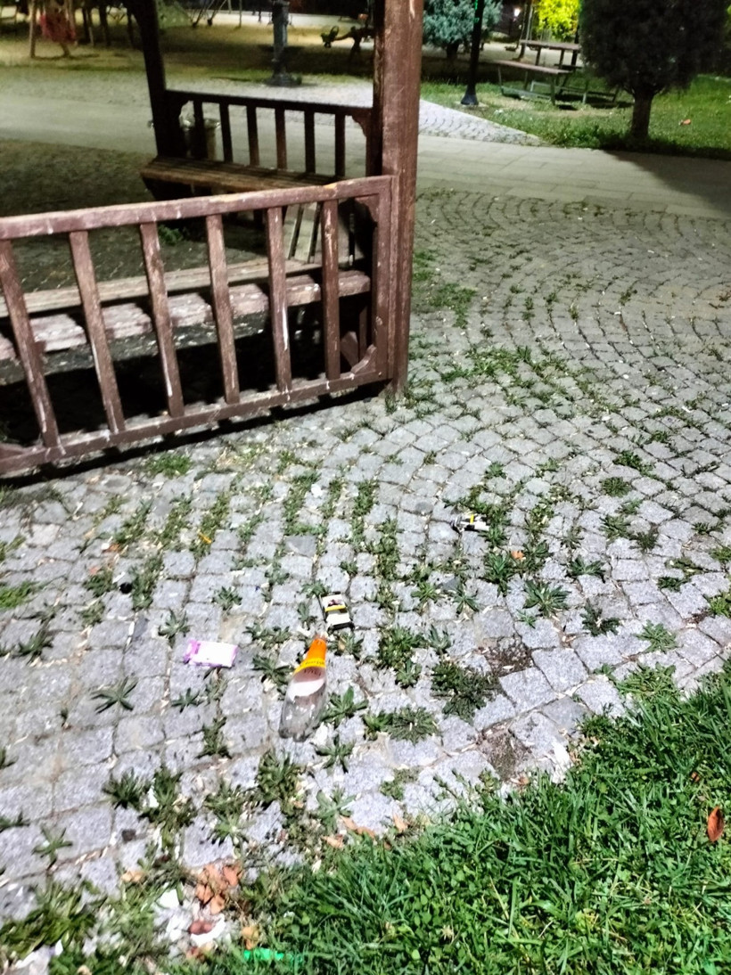 Aman dikkat evde beslenen bu türleri parklara salmayın(!)