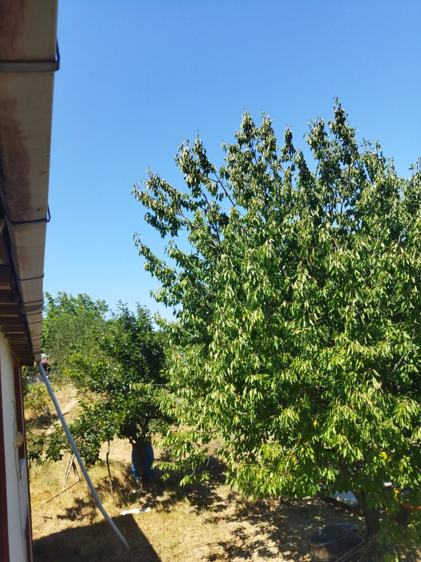 Deprem korkusu sardı: Kocaelililer ve İstanbullular şehirden köye kaçıyor
