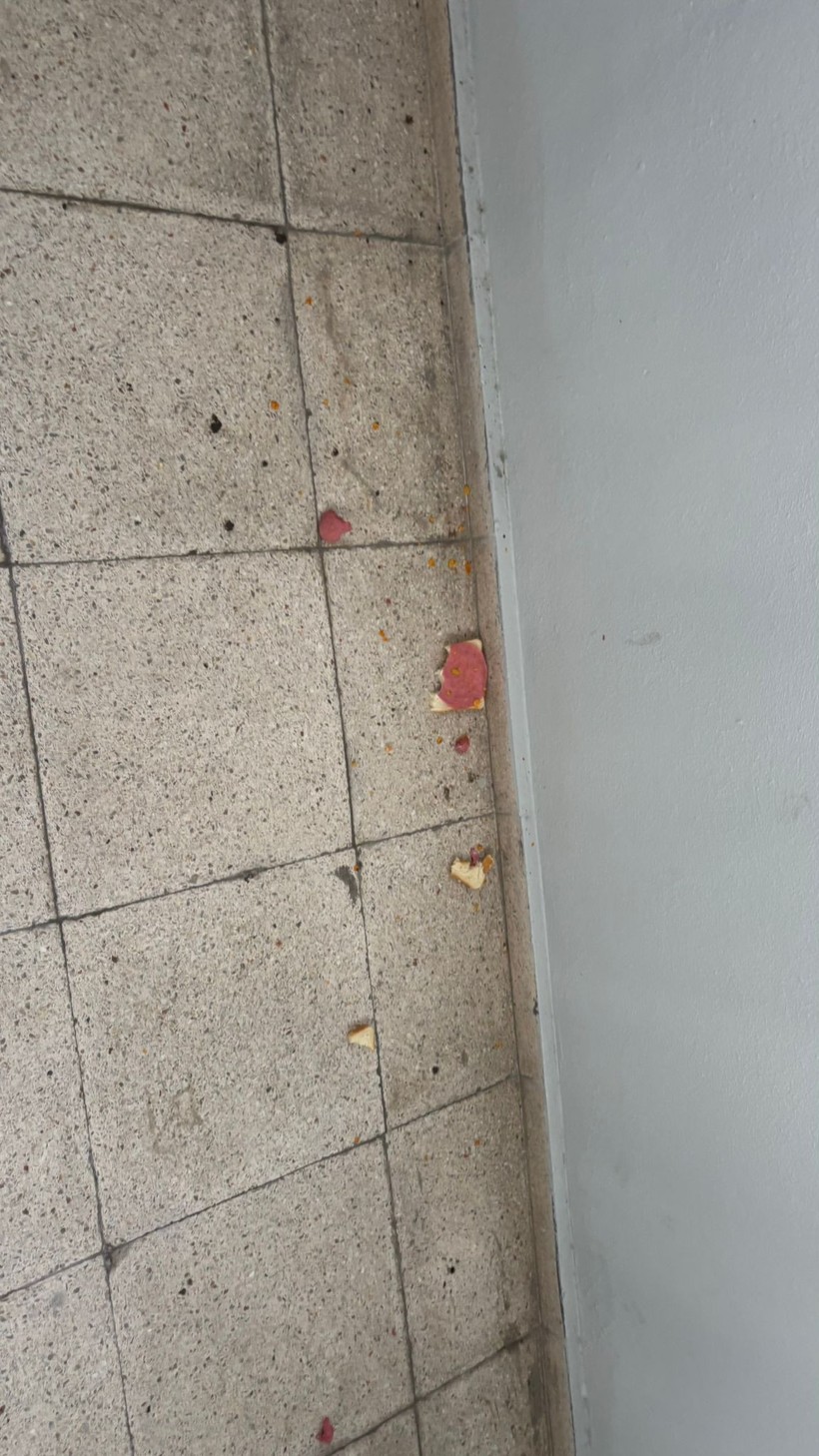 İnsanlığa sığmaz. Buranın hali ne?