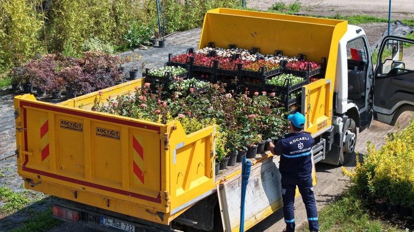 Kocaeli’nin yeşil dönüşümüne Büyükşehir’den fidan desteği