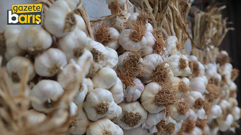 Bursa’dan gelip 2 ton sarımsak sattı. 100 bin lira ceza!