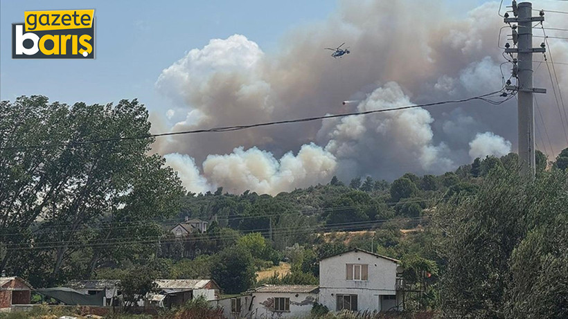 Çanakkale'de orman yangını