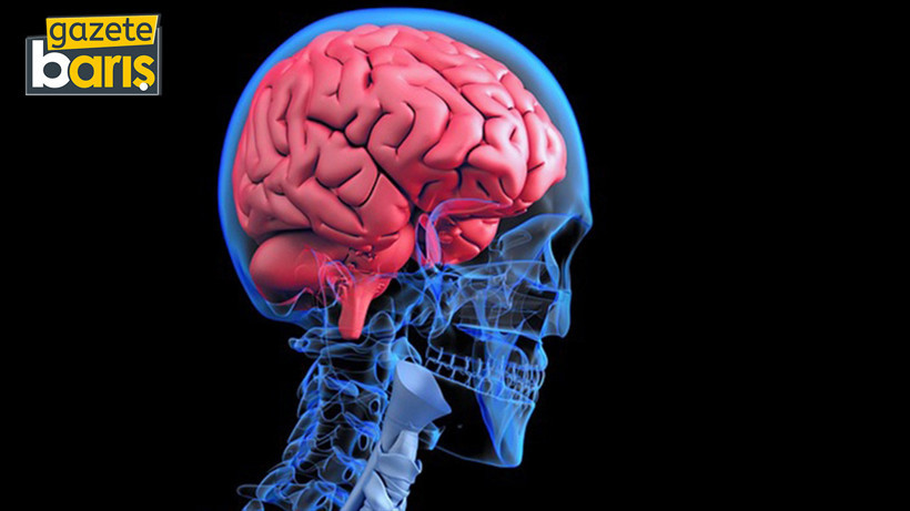 Beynin gece vardiyası: Glimfatik sistem