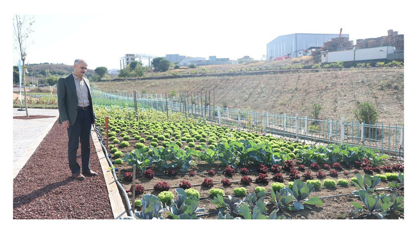 CHP’li Aydın, “Marul bahçesi açtı”