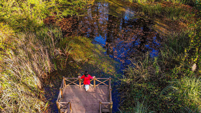 Ormanya'nın dört bir yanından kartpostallık görüntüler