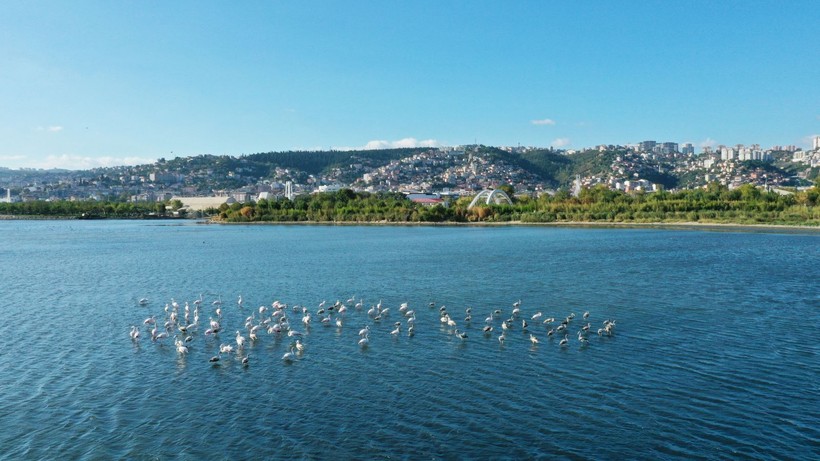 Yaşanılası şehir! Fotoğraflarla Kocaeli... - Resim: 28