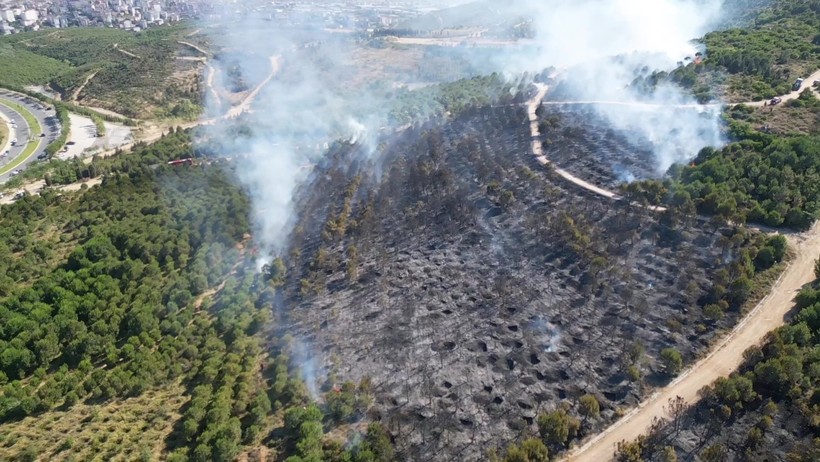 Gebze'deki orman yangını kontrol altına alındı