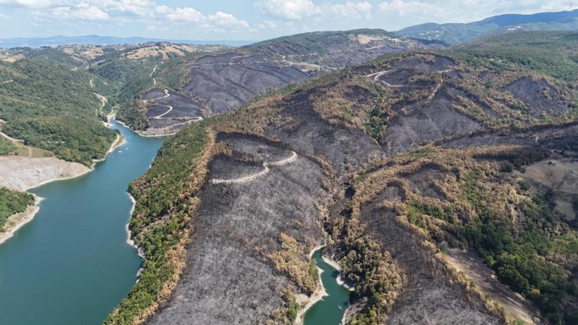 Karamürsel yangınından geriye kalan o acı manzara...