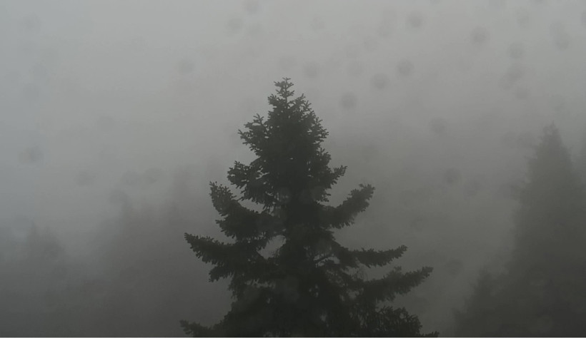 Kocaeli'de fırtına etkili oluyor: Sahillerde dalgalar yükseldi!