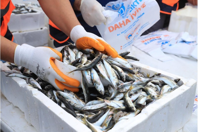 Kocaeli’de oltasını kapan denize koşuyor