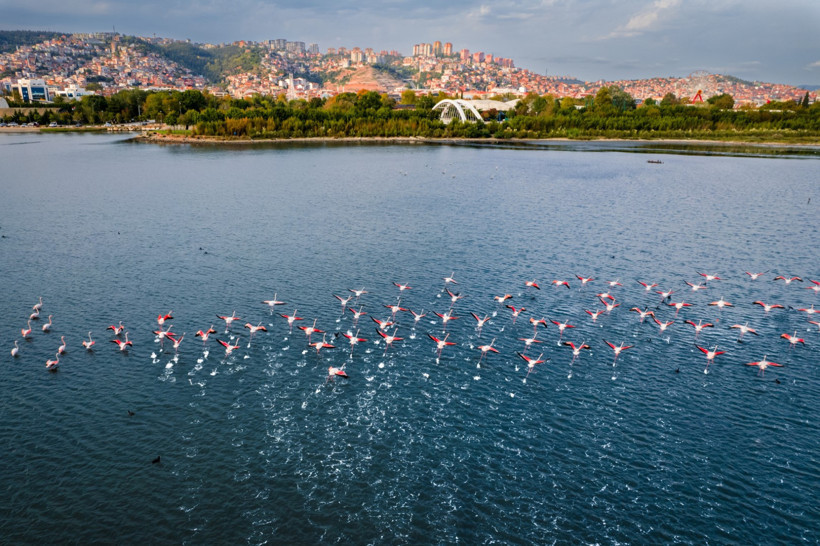 4 Mevsim Kocaeli Fotoğraf Yarışması başladı