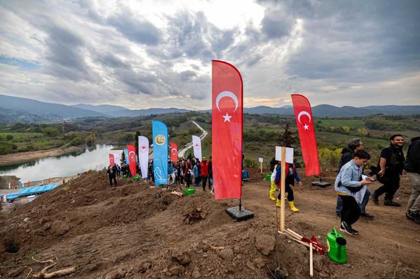 Karamürsel yeniden yeşeriyor: 3 bin fidan toprakla buluştu