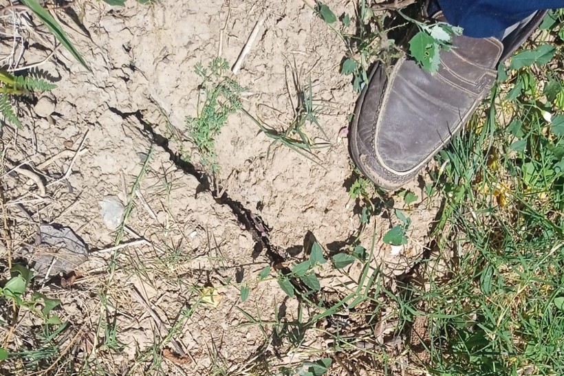 Çiftçiler endişeli. Kocaeli'de toprak kuraklaşıyor