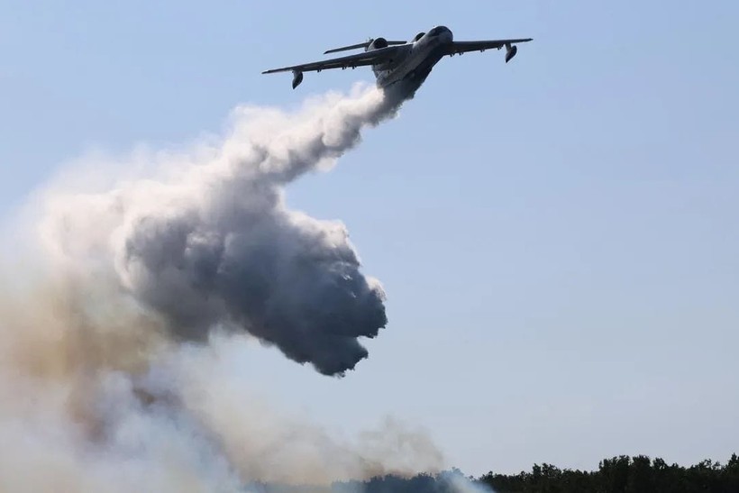 Gebze'de ormanlık alanda yangın çıktı