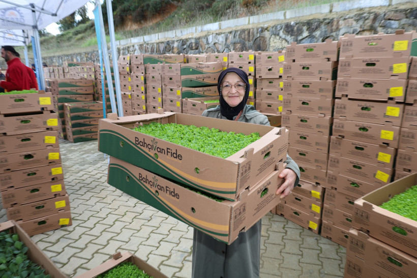 Kocaeli’de tarlalar bereketleniyor, Gebzeli çiftçiye büyük destek