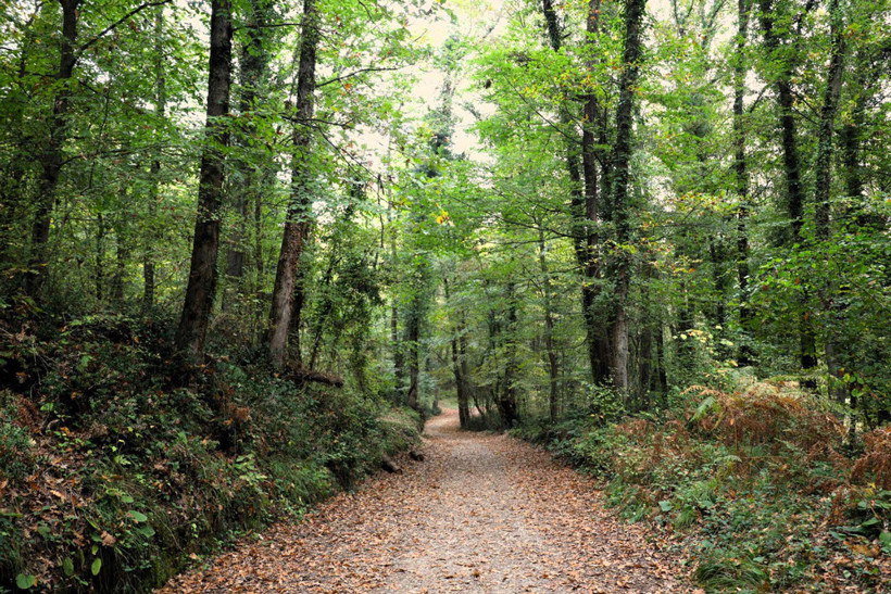 Ormanya'nın dört bir yanından kartpostallık görüntüler