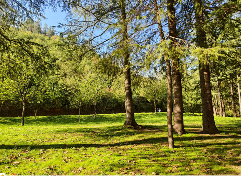 Fotoğraf Kocaeli'den. Kışı değil, yazı karşılar gibi!