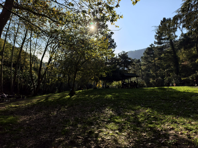 Fotoğraf Kocaeli'den. Kışı değil, yazı karşılar gibi!