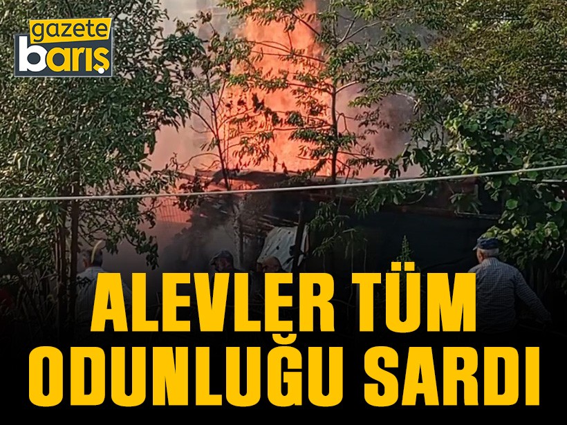 Kartepe’de alevler tüm odunluğu sardı