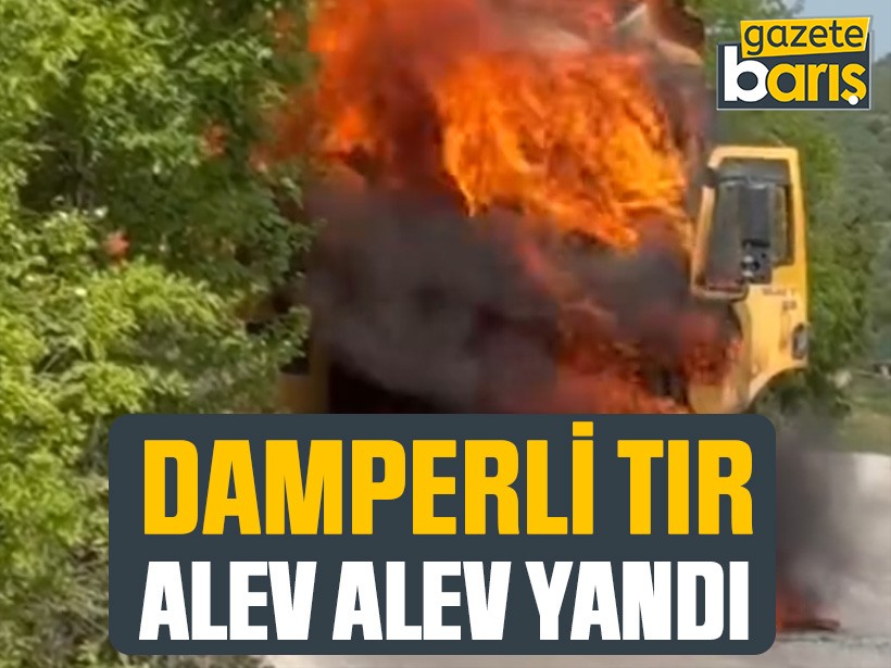 Kocaeli’de damperli tır alev alev yandı